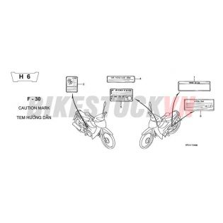 F-30_TEM HƯỚNG DẪN